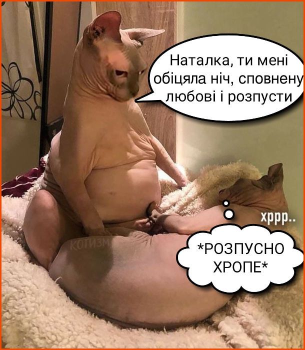 Жарти про секс Жарти про секс