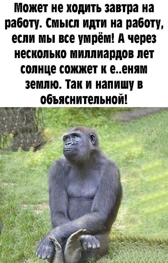 приколы юмор картинки884 приколы юмор картинки884