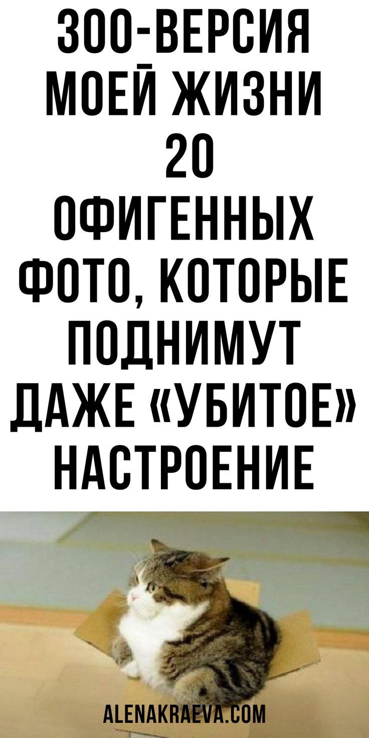 Зоо-версия моей жизни 20 фото, которые поднимут даже «убитое» настроение, юмор | alenakraeva.com Зоо-версия моей жизни 20 фото, которые поднимут даже «убитое» настроение, юмор | alenakraeva.com