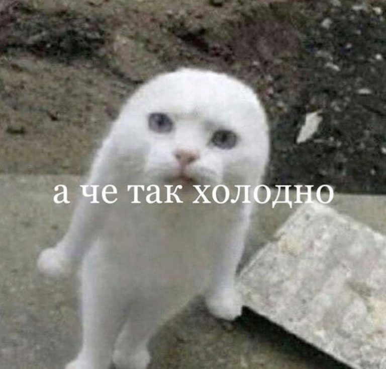 inst: memes_shrn inst: memes_shrn