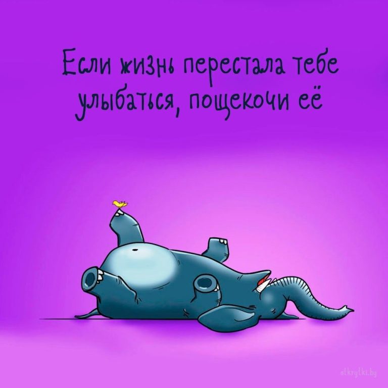 35+ ВЕСЁЛЫХ картинок для поддержки близкого человека 35+ ВЕСЁЛЫХ картинок для поддержки близкого человека