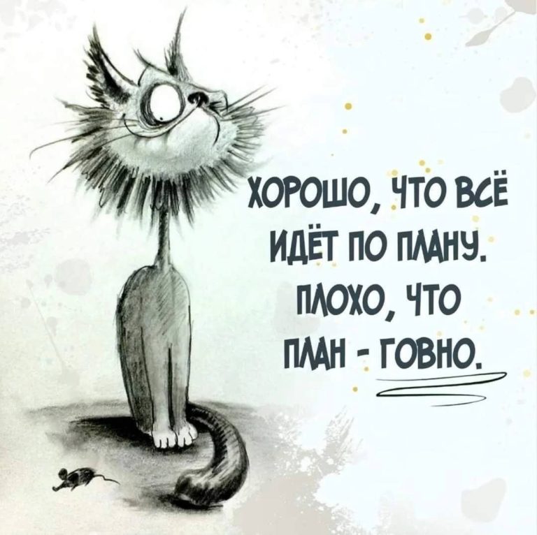 открытки с добрым утром – 19635 открытки с добрым утром – 19635