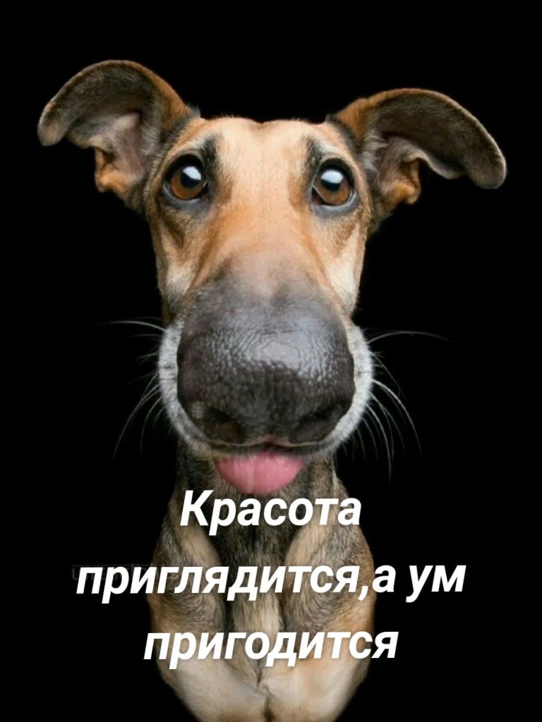 Красота приглядится,а ум пригодится Красота приглядится,а ум пригодится