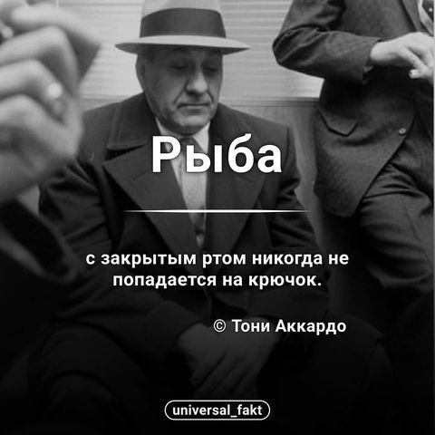 Цитата📌