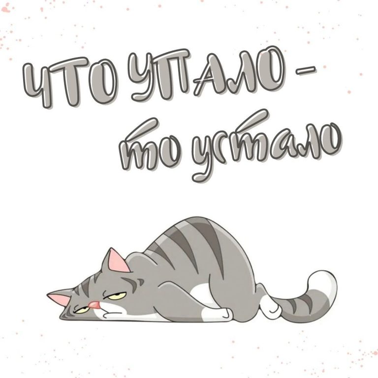 77 смешных открыток и прикольных картинок с юмором 77 смешных открыток и прикольных картинок с юмором