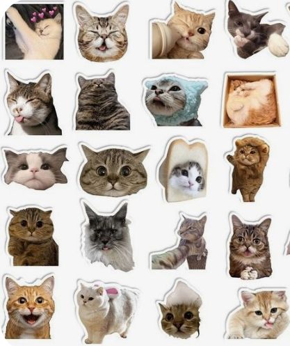 stickers cats stickers cats