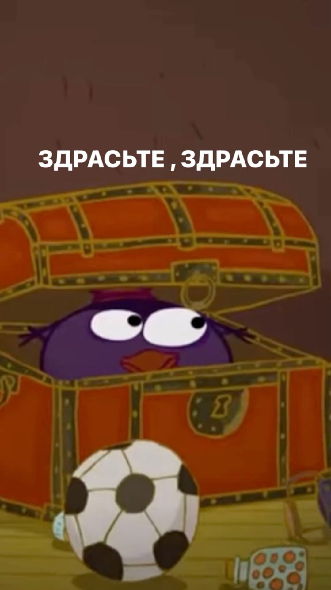 Совунья мем Совунья мем