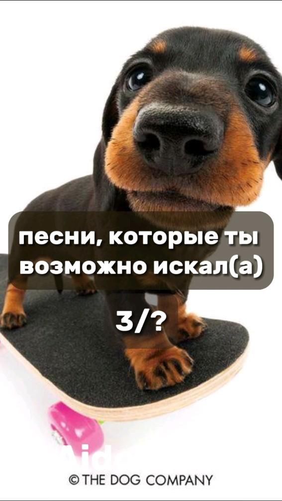 Песни, которые ты возможно искал(а) 3/? Песни, которые ты возможно искал(а) 3/?
