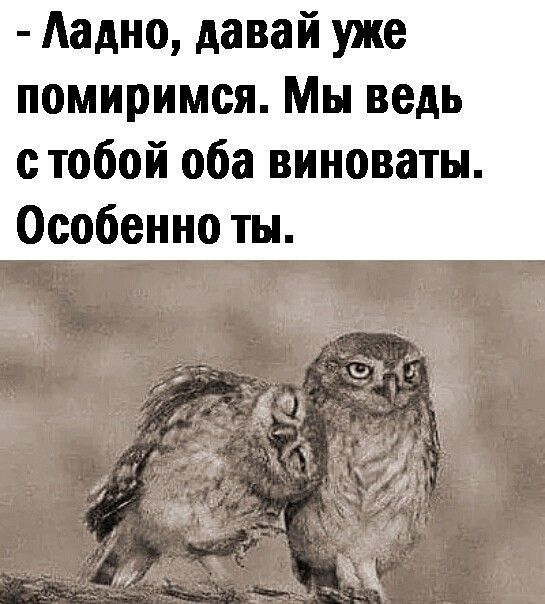 Давай уже мириться (открытка 107): Бесплатные картинки • Открытки Топ Давай уже мириться (открытка 107): Бесплатные картинки • Открытки Топ