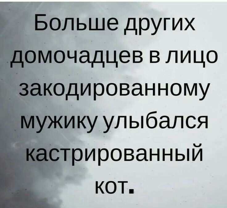#домочадцы.