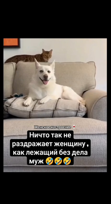 Девочки поймут! Девочки поймут!
