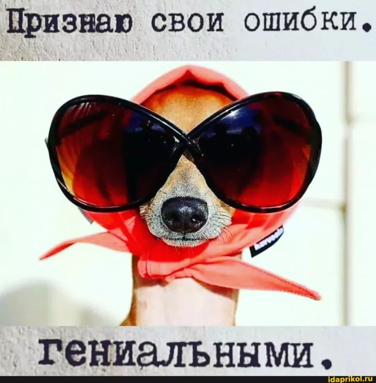Признаю свои ошибки. ‘Гениальными, – АйДаПрикол Признаю свои ошибки. ‘Гениальными, – АйДаПрикол