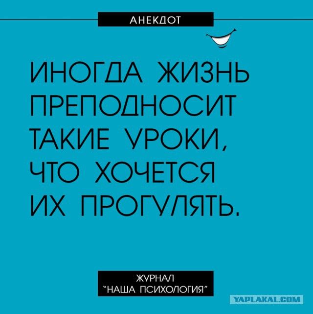 Юмор и высказывания психологов. 57 картинок – ЯПлакалъ Юмор и высказывания психологов. 57 картинок – ЯПлакалъ