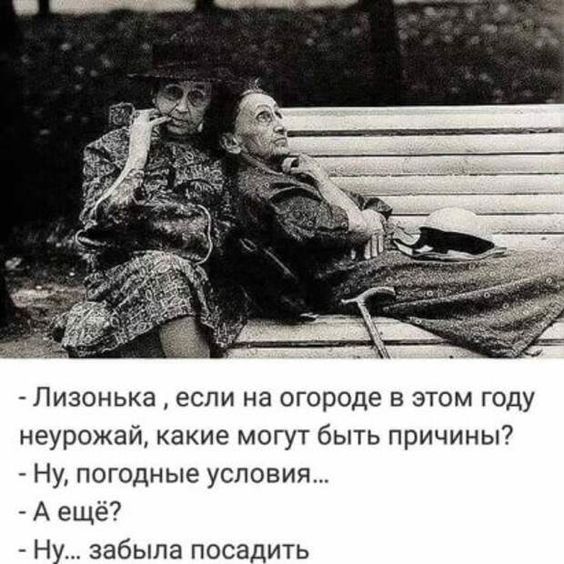 юмор1094 юмор1094