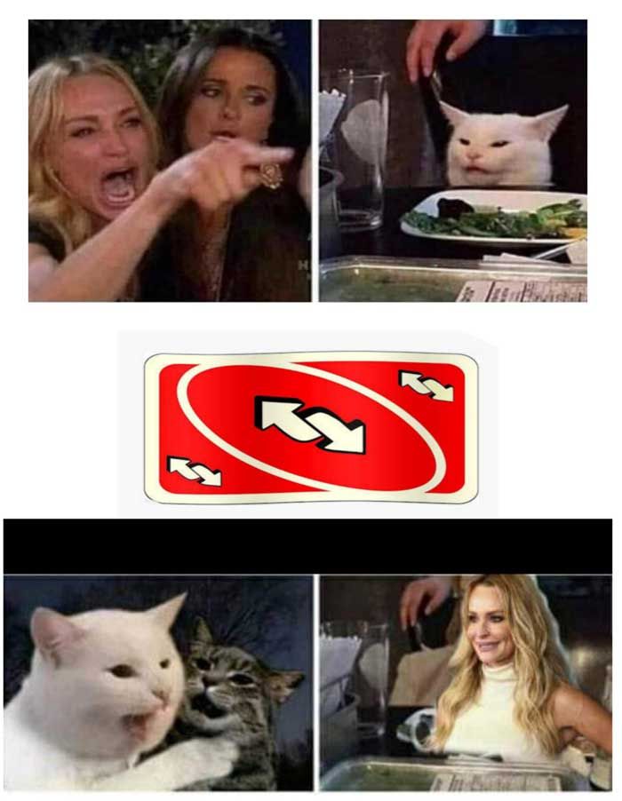 66 ‘Woman Yelling at a Cat’ Memes That Still Slap in 2021 66 ‘Woman Yelling at a Cat’ Memes That Still Slap in 2021