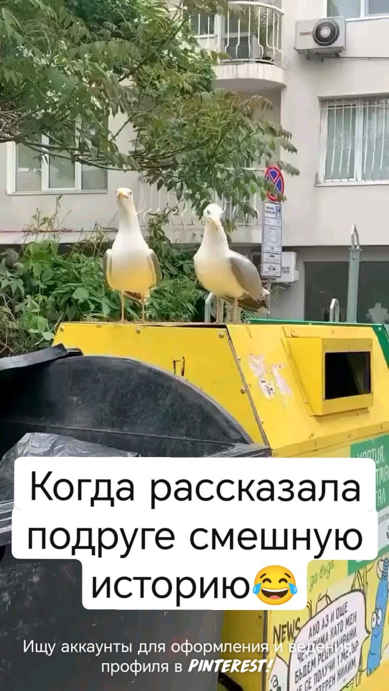 Наши посиделки с подругой😂 Наши посиделки с подругой😂