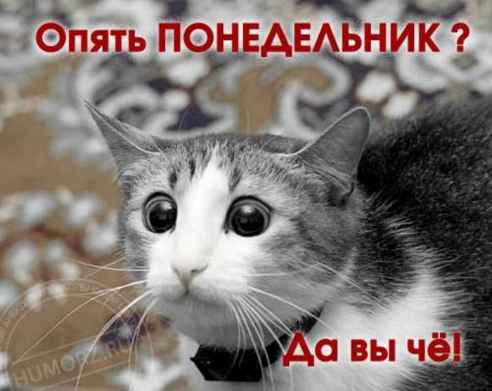 Смешные картинки про утро (35 фото) 🔥 BipBap.ru Смешные картинки про утро (35 фото) 🔥 BipBap.ru
