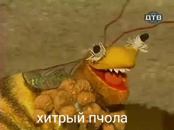 Пчола(хитрая) Пчола(хитрая)