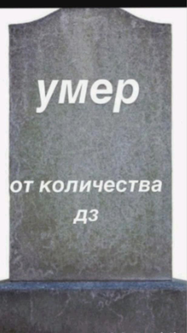 перешлите учителям😂 перешлите учителям😂
