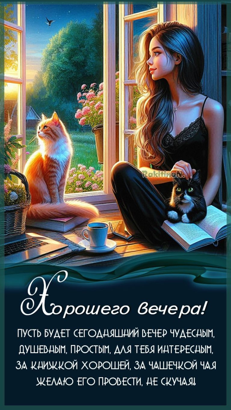 Хорошего вечера! Хорошего вечера!