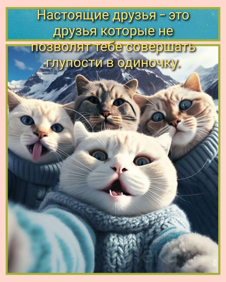 Друзья