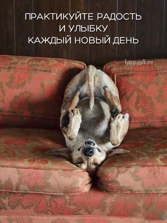 Картинки с надписями “Доброе утро!” Картинки с надписями “Доброе утро!”