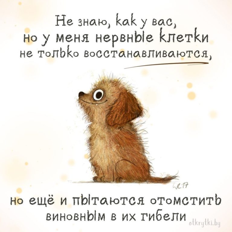 55+ креативных картинок с надписями о себе с юмором и сарказмом 55+ креативных картинок с надписями о себе с юмором и сарказмом