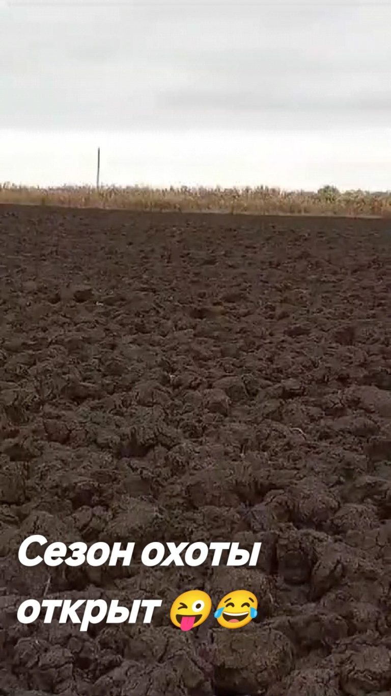 Сезон охоты открыт 😜😂 Сезон охоты открыт 😜😂