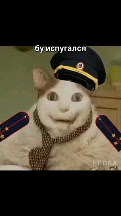 Бу испугался не бойся