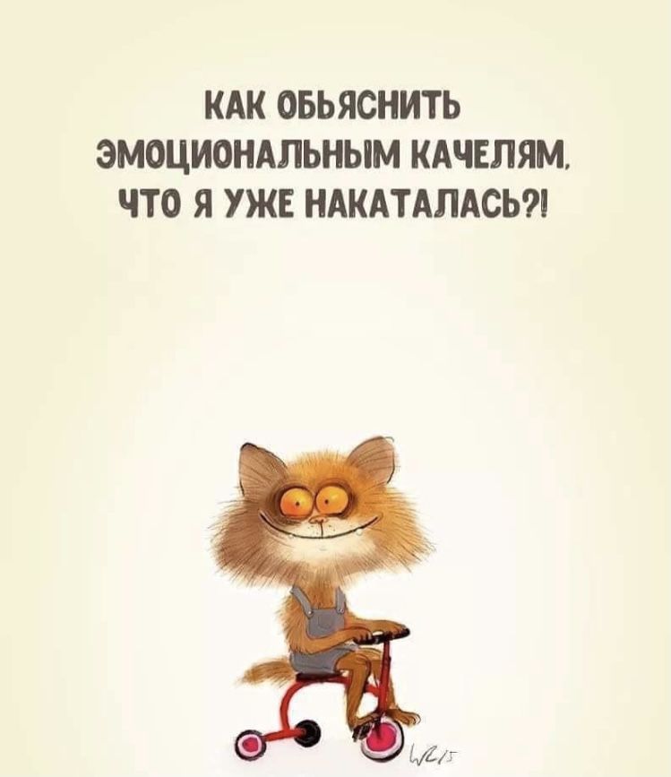 Коллекция веселых картинок для поднятия настроения Коллекция веселых картинок для поднятия настроения