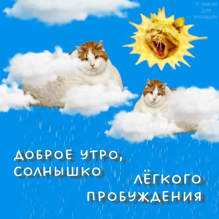 лёгкого пробуждения лёгкого пробуждения