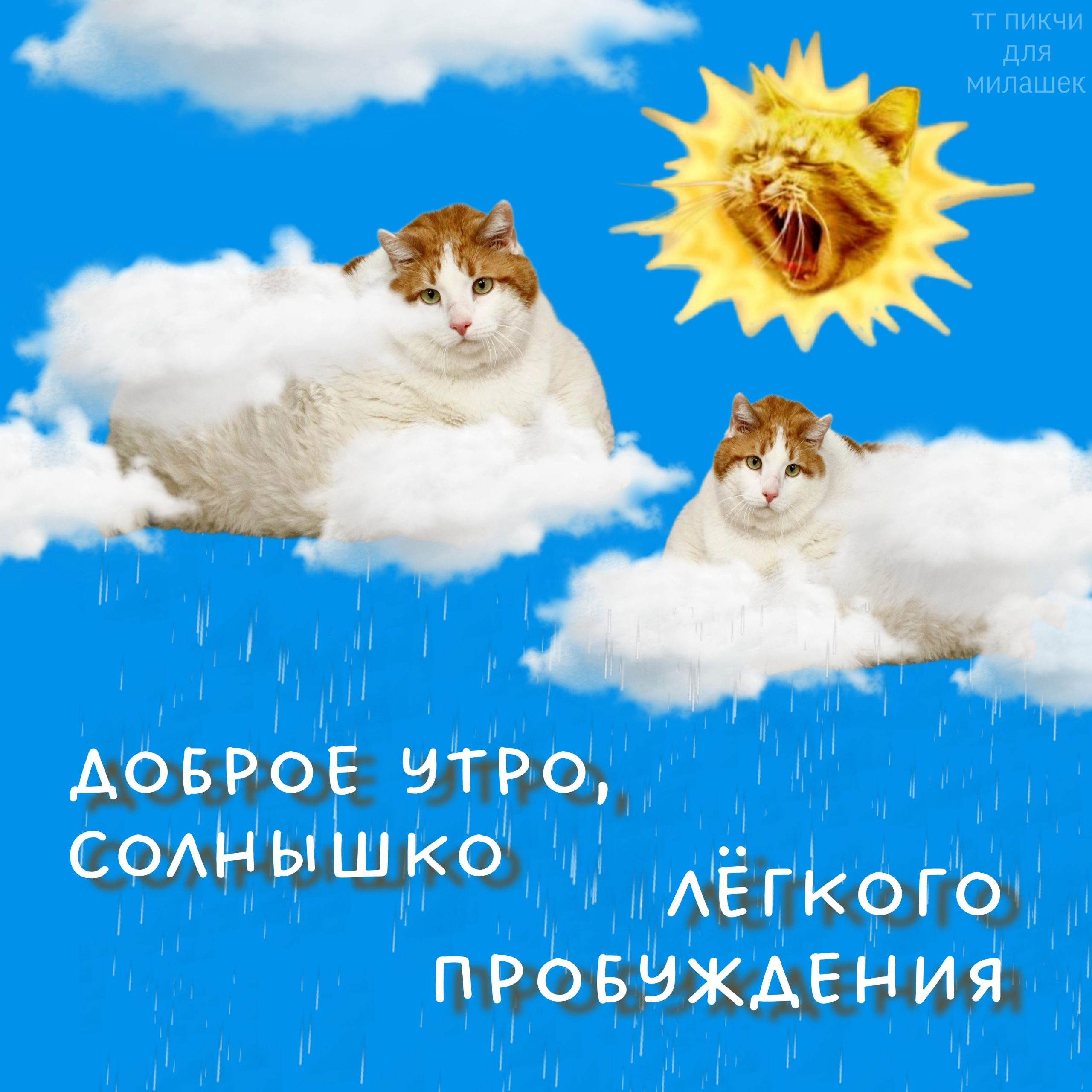 лёгкого пробуждения лёгкого пробуждения
