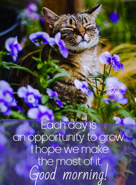 120+ Motivational & Inspirational Good Morning Images with Quotes.⭐ 120+ Motivational & Inspirational Good Morning Images with Quotes.⭐