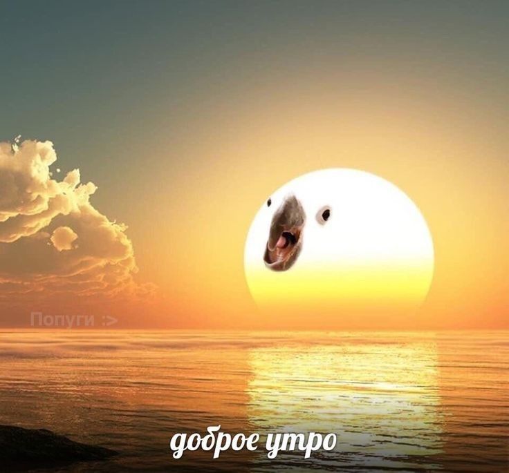 Подпишись пожалуйста🥺👉🏻👈🏻 Подпишись пожалуйста🥺👉🏻👈🏻