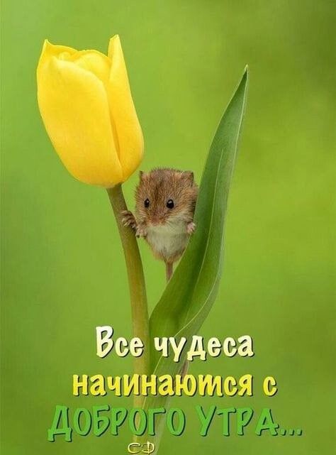И исчезнет грусть! — Доброе утро! День! | OK.RU И исчезнет грусть! — Доброе утро! День! | OK.RU