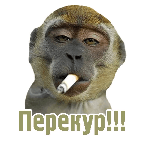 Набор стикеров для Telegram «Комичные животные» Набор стикеров для Telegram «Комичные животные»