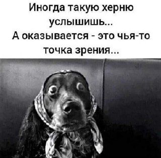 Точка зрения Точка зрения