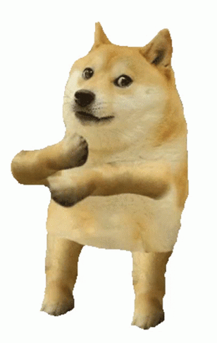 Cool Doge Dog Dance Sticker – Cool Doge Cool Dog Dog Dance – discover and share GIFs Cool Doge Dog Dance Sticker – Cool Doge Cool Dog Dog Dance – discover and share GIFs