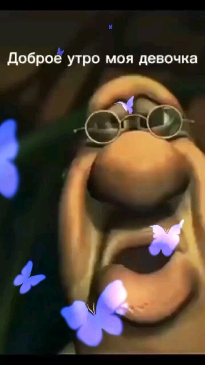 доброе утро моя девочка 💓 доброе утро моя девочка 💓
