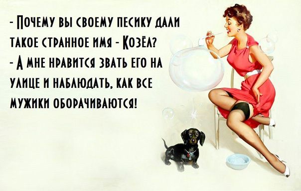 Прикольные афоризмы про женщин Прикольные афоризмы про женщин