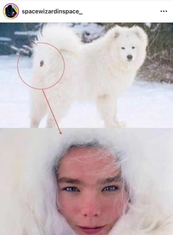 Funny Photos Funny Photos
