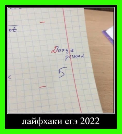 Viral Stories Viral Stories