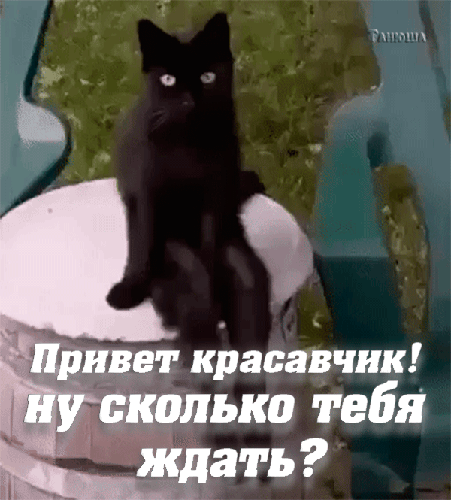 Анимированная открытка Привет красавчик! Ну сколько тебя ждать? Анимированная открытка Привет красавчик! Ну сколько тебя ждать?