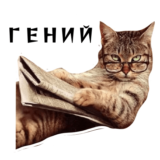 Набор стикеров для Telegram «Колкие фразы» Набор стикеров для Telegram «Колкие фразы»
