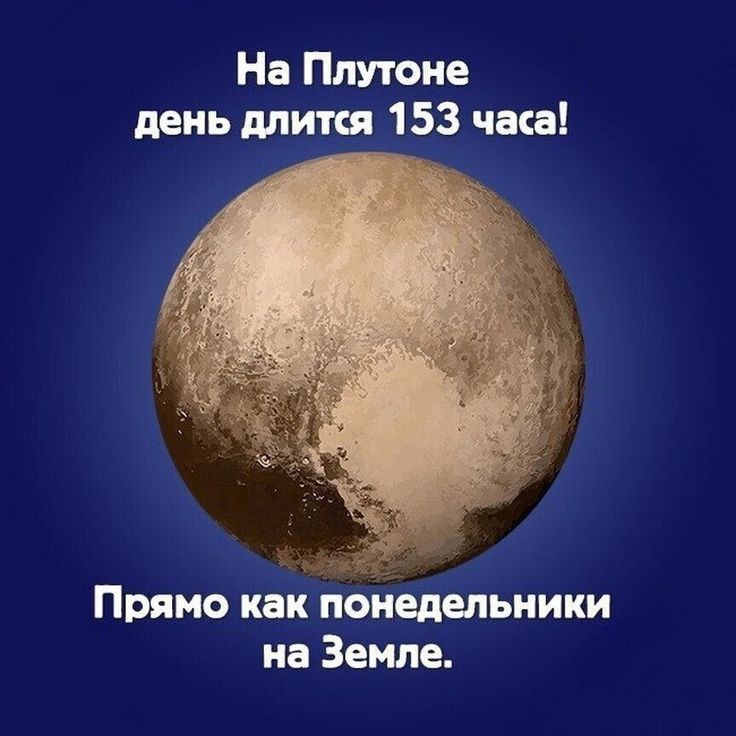 правда ,даже про ПОНЕДЕЛЬНИК правда ,даже про ПОНЕДЕЛЬНИК