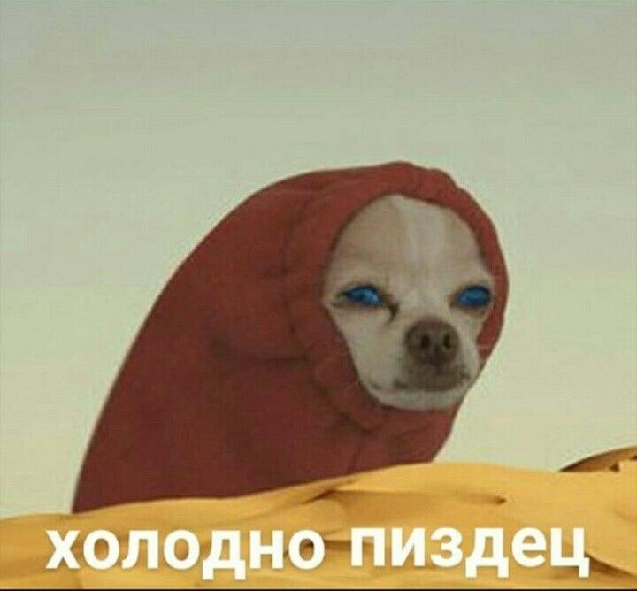 Подпишись пожалуйста🥺👉🏻👈🏻 Подпишись пожалуйста🥺👉🏻👈🏻