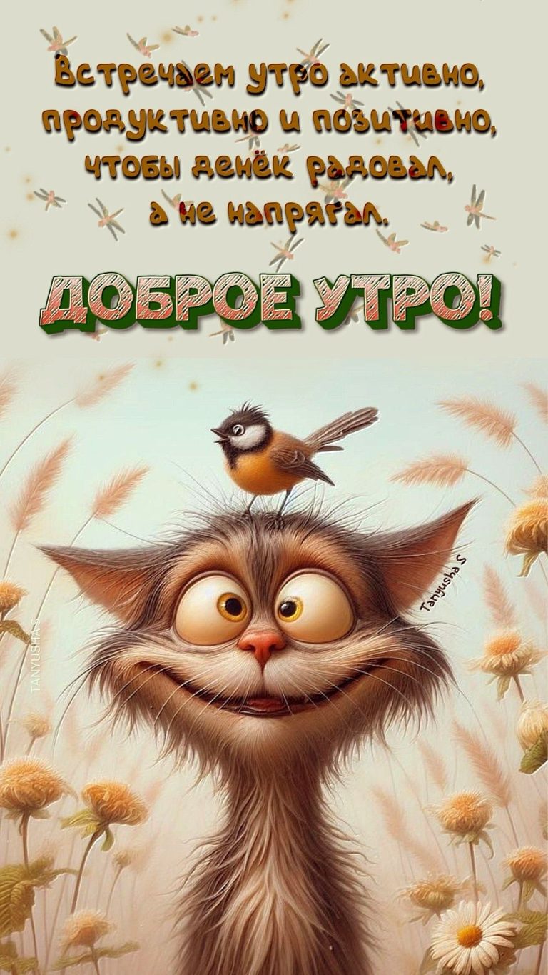Доброе утро! Доброе утро!