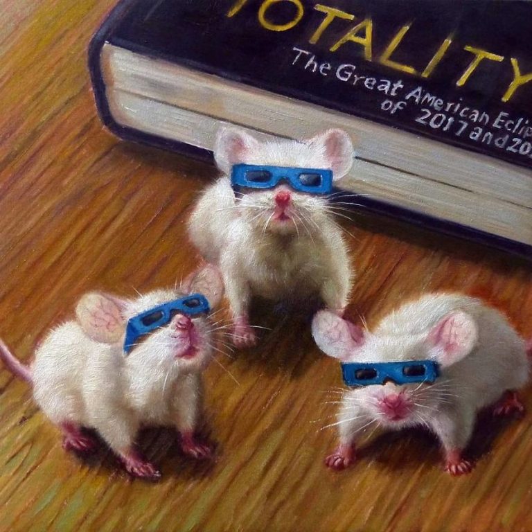 Artist Places Mice In Human Situations In Her 60 Illustrations Artist Places Mice In Human Situations In Her 60 Illustrations