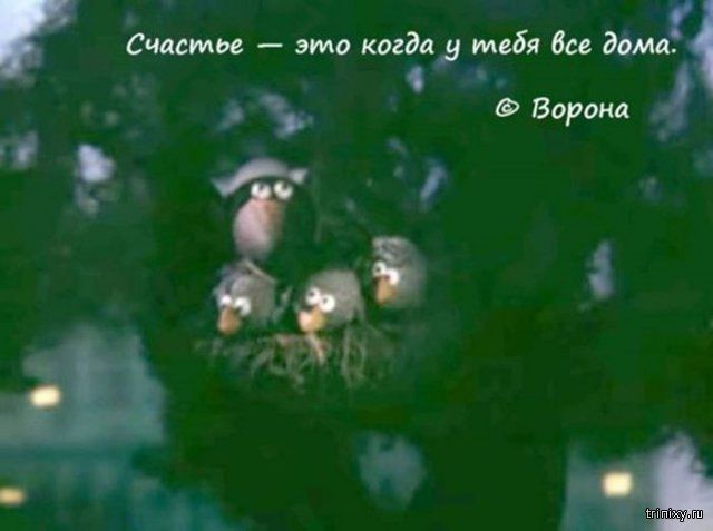 Прикольные картинки. Вечерний выпуск (56 фото) Прикольные картинки. Вечерний выпуск (56 фото)