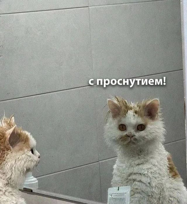 Мем-картинка KMcj2ToaB от Pukich2003: 12 комментариев – АйДаПрикол Мем-картинка KMcj2ToaB от Pukich2003: 12 комментариев – АйДаПрикол